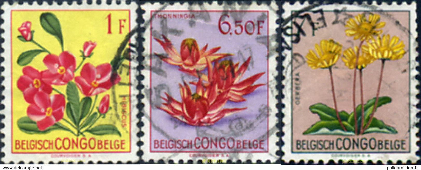 300383 USED CONGO BELGA 1952 FLORES - Covers & Documents