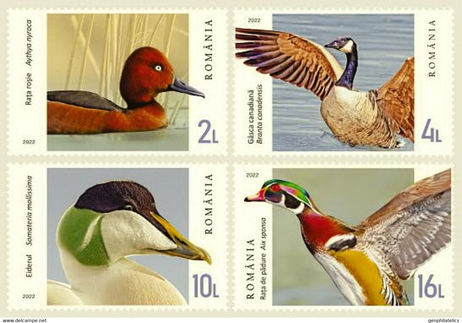 ROMANIA 2022 FAUNA Animals. Birds DUCKS - Fine Set MNH - Nuovi