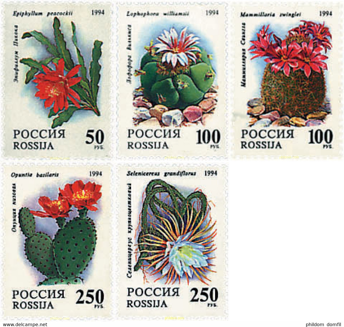 94010 MNH RUSIA 1994 FLORES DE CACTUS - Oblitérés