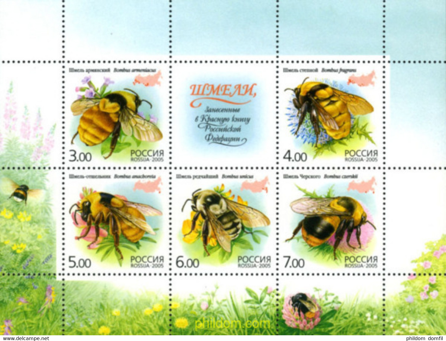 184107 MNH RUSIA 2005 FAUNA - Used Stamps