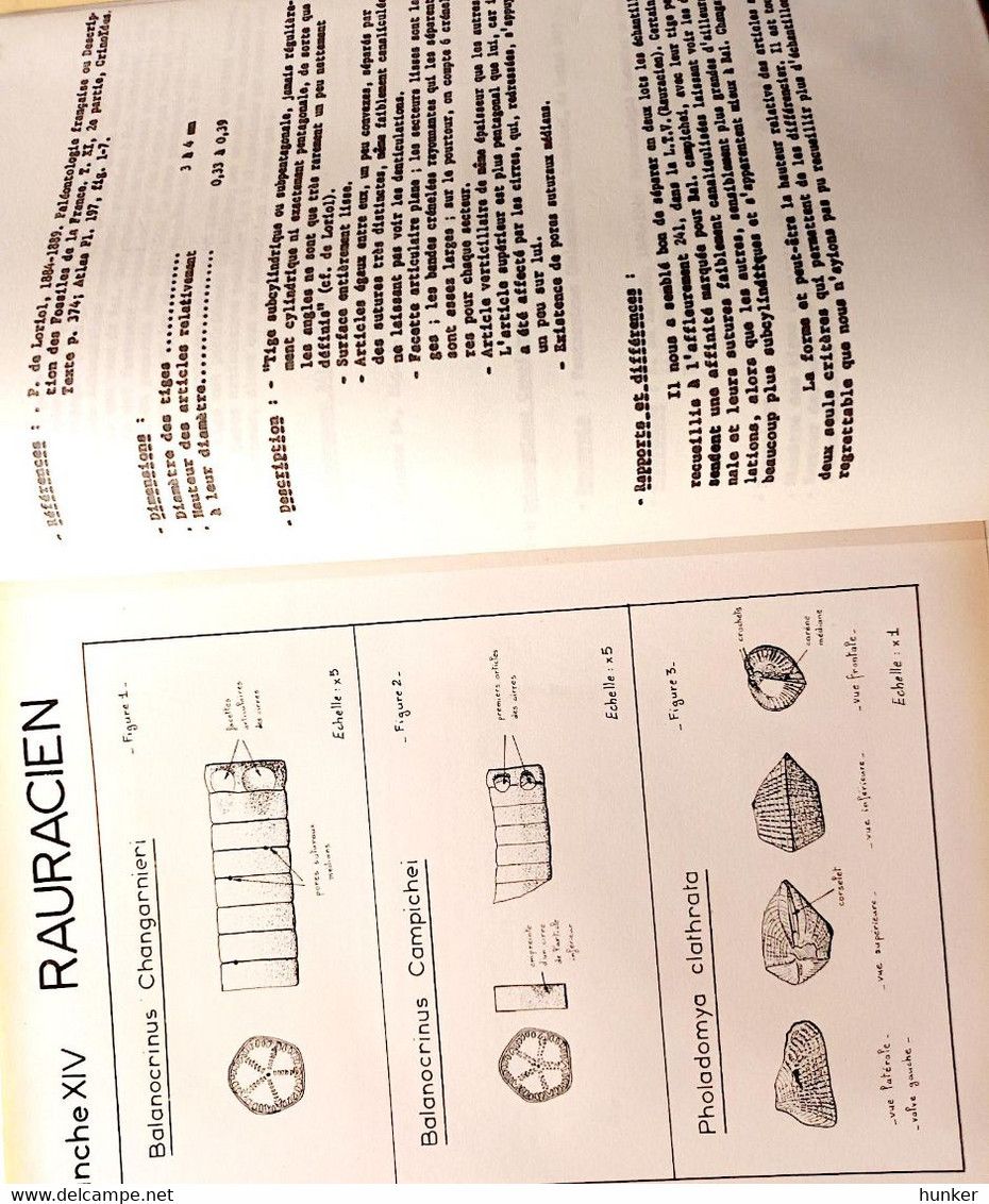 PALEONTOLOGIE Fossiles Cours Ou Rapport 1970 - Materiaal En Toebehoren