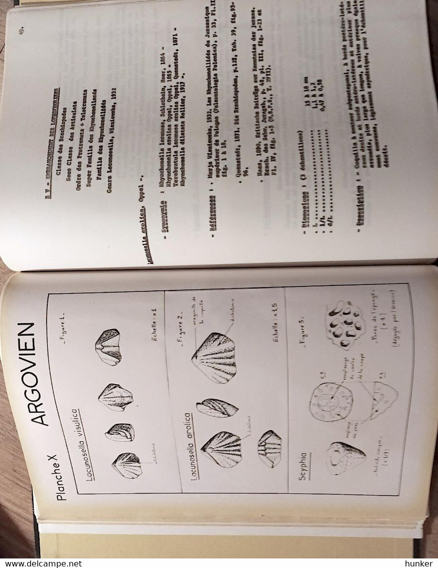 PALEONTOLOGIE Fossiles Cours Ou Rapport 1970 - Material Y Accesorios