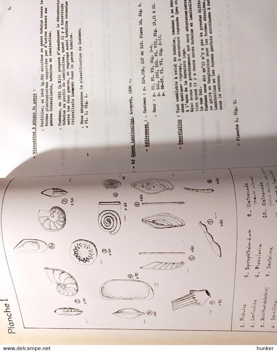 PALEONTOLOGIE Fossiles Cours Ou Rapport 1970 - Materiale E Accessori