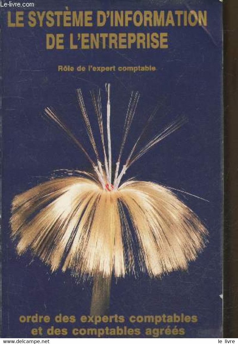 Le Système D'information De L'entreprise : Rôle De L'expert-comptable - 43e Congrès National Strasbourg 1988 - Rapport P - Boekhouding & Beheer