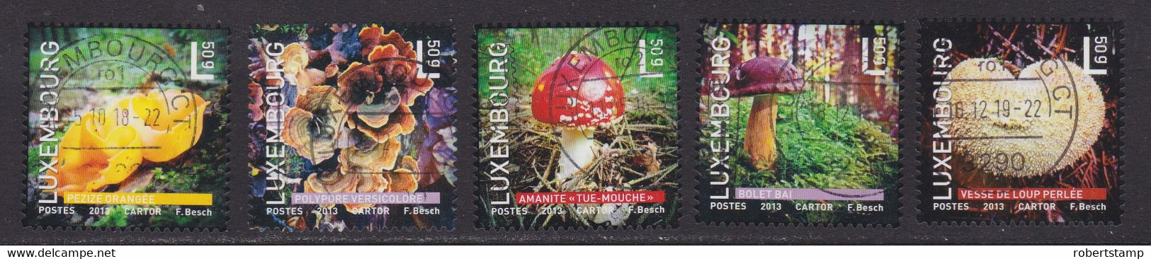 LUXEMBURGO 2013 - Mushrooms Complete Set - Usati