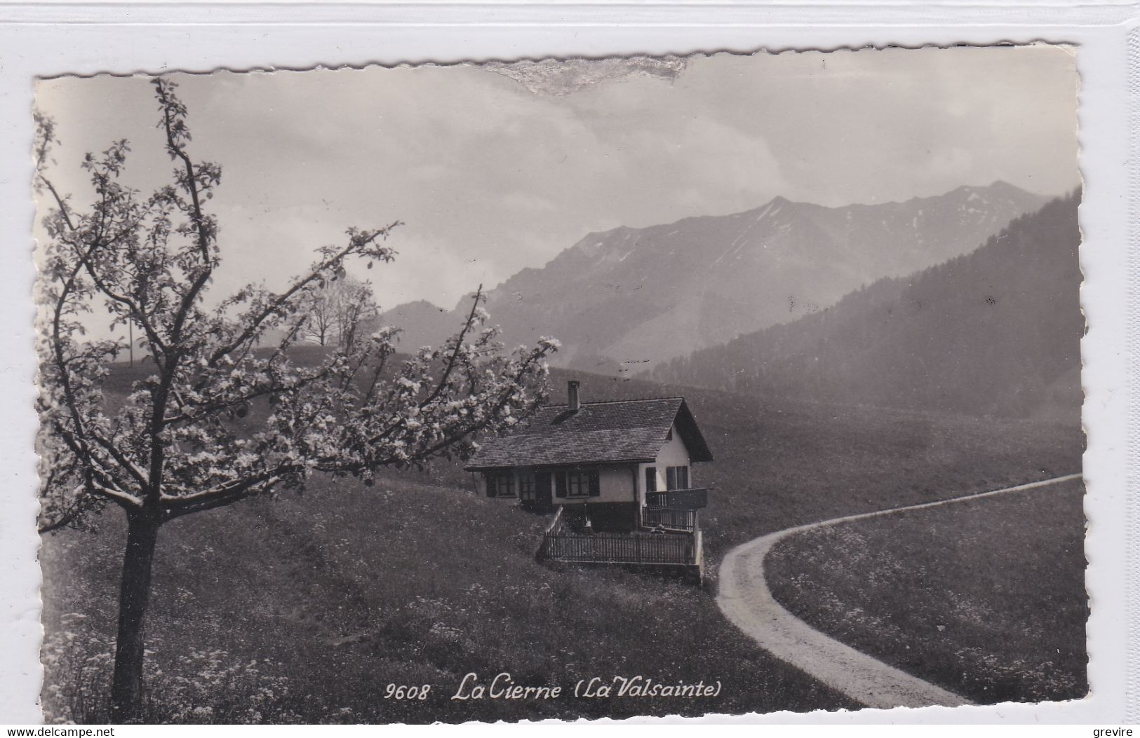 Cerniat, La Cierne (La Valsainte) Carte-photo - Cerniat 