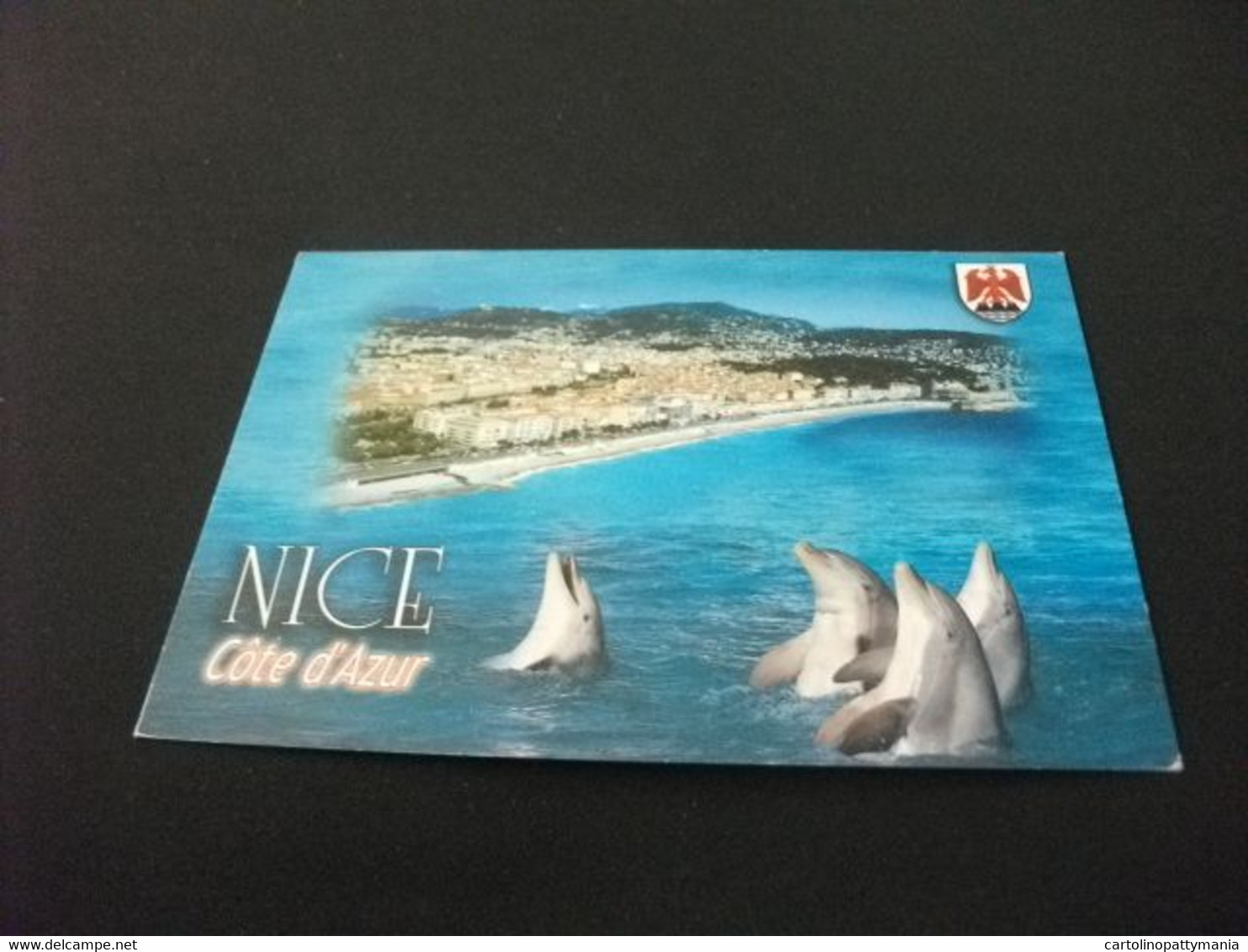 DELFINI NICE NIZZA FRANCIA - Dauphins