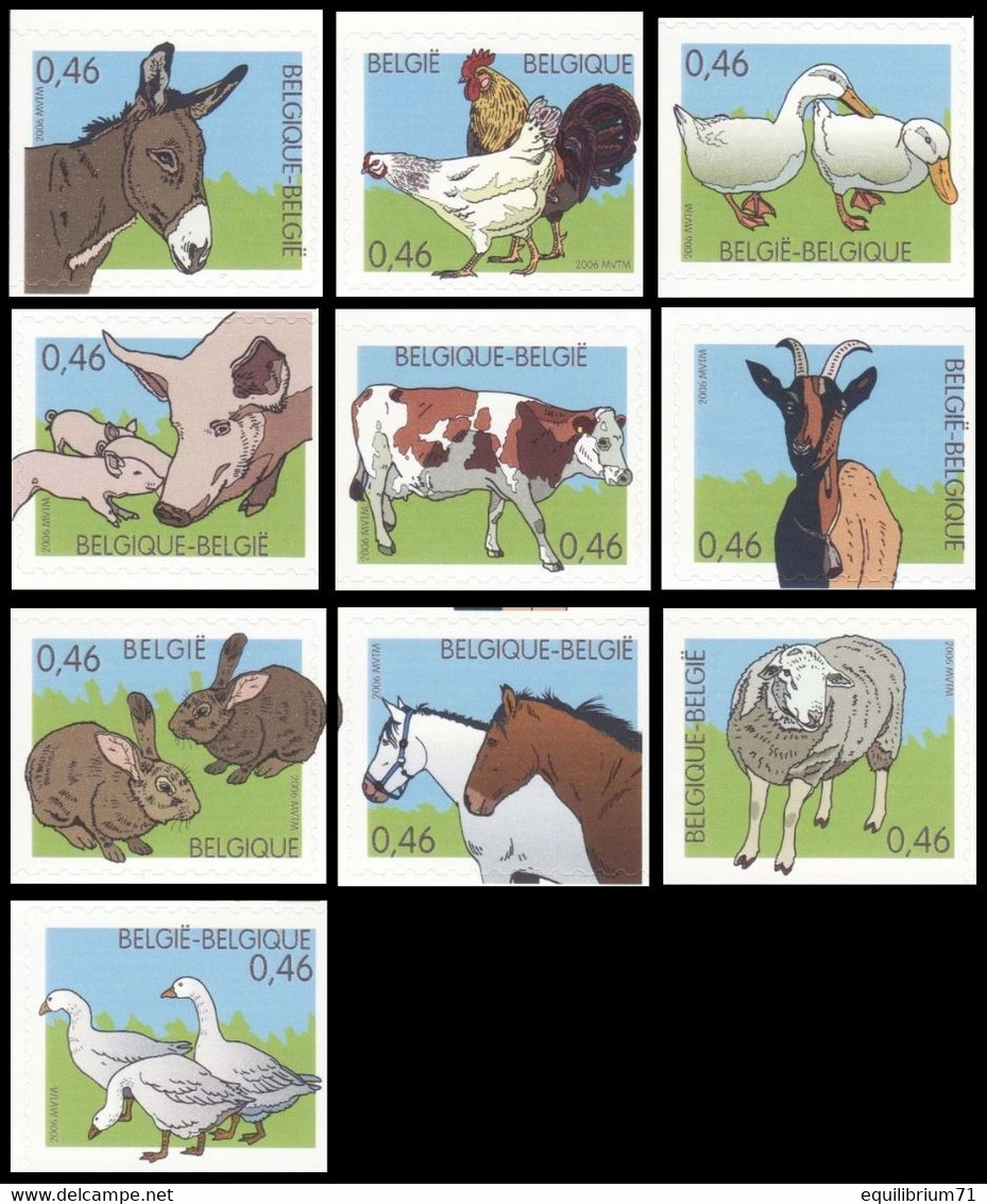 3481/90**(B60/C60) - Animaux De La Ferme / Dieren Van De Boerderij / Nutztiere / Farm Animals - BELGIQUE/BELGIË/BELGIEN - Ezels