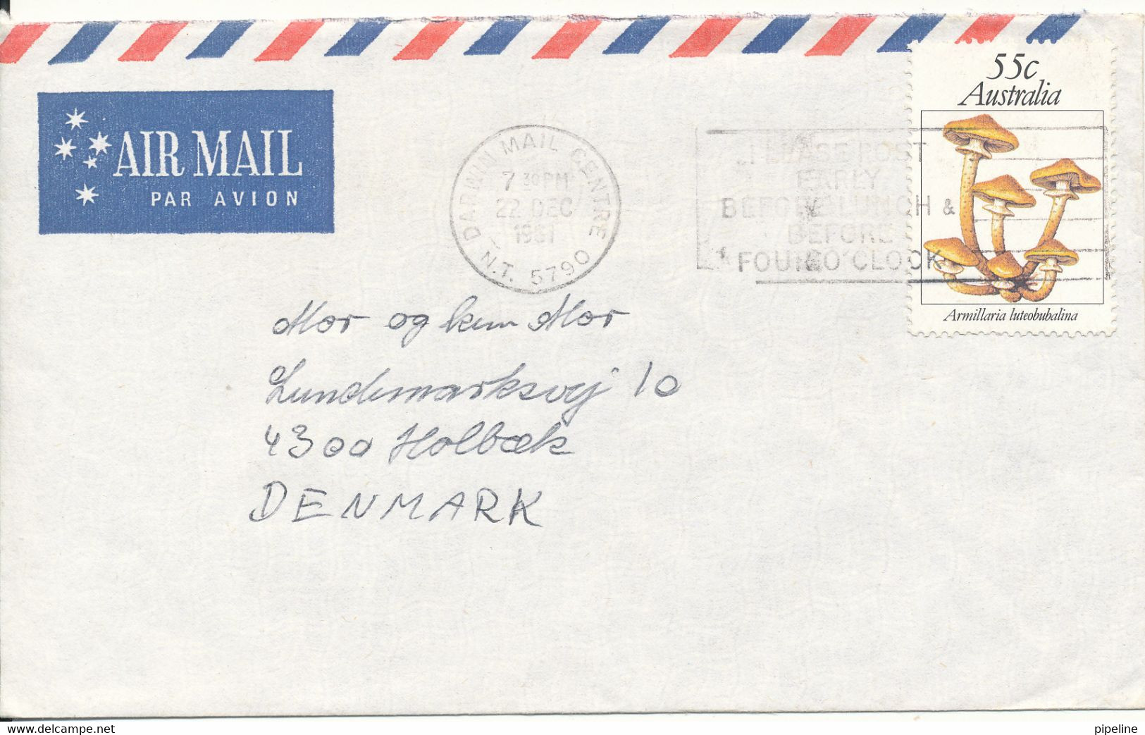 Australia Air Mail Cover Sent To Denmark 22-12-1981 Single Franked  MUSHROOMS - Storia Postale