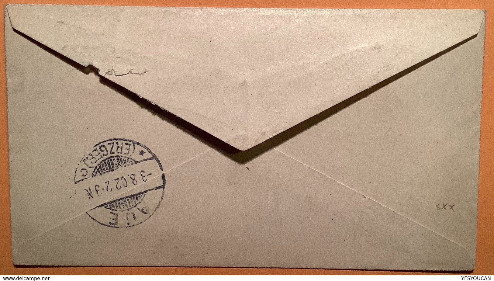 Virgin Islands TORTOLA1902 1d Postal Stationery Enveloppe>Aue Sachsen (cover Iles Vièrges BWI Mary Maria Vierge Religion - Britse Maagdeneilanden