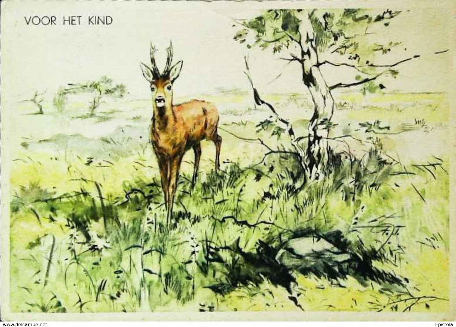 ►  Illustration  1950 Voor Het Kind Antilope Antillaise - Autres & Non Classés