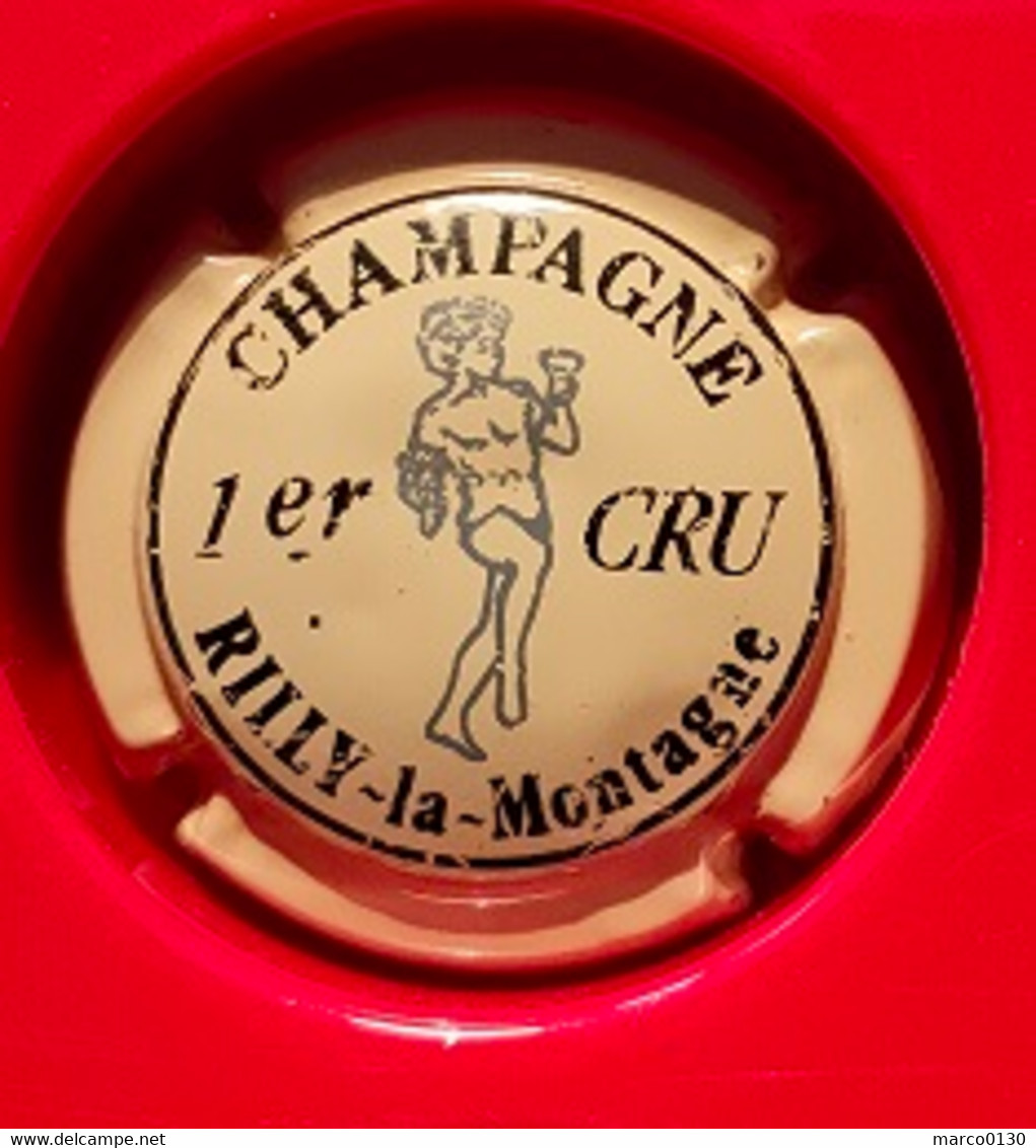 CAPSULE DE CHAMPAGNE RILLY LA MONTAGNE N° 22 - Rilly La Montagne