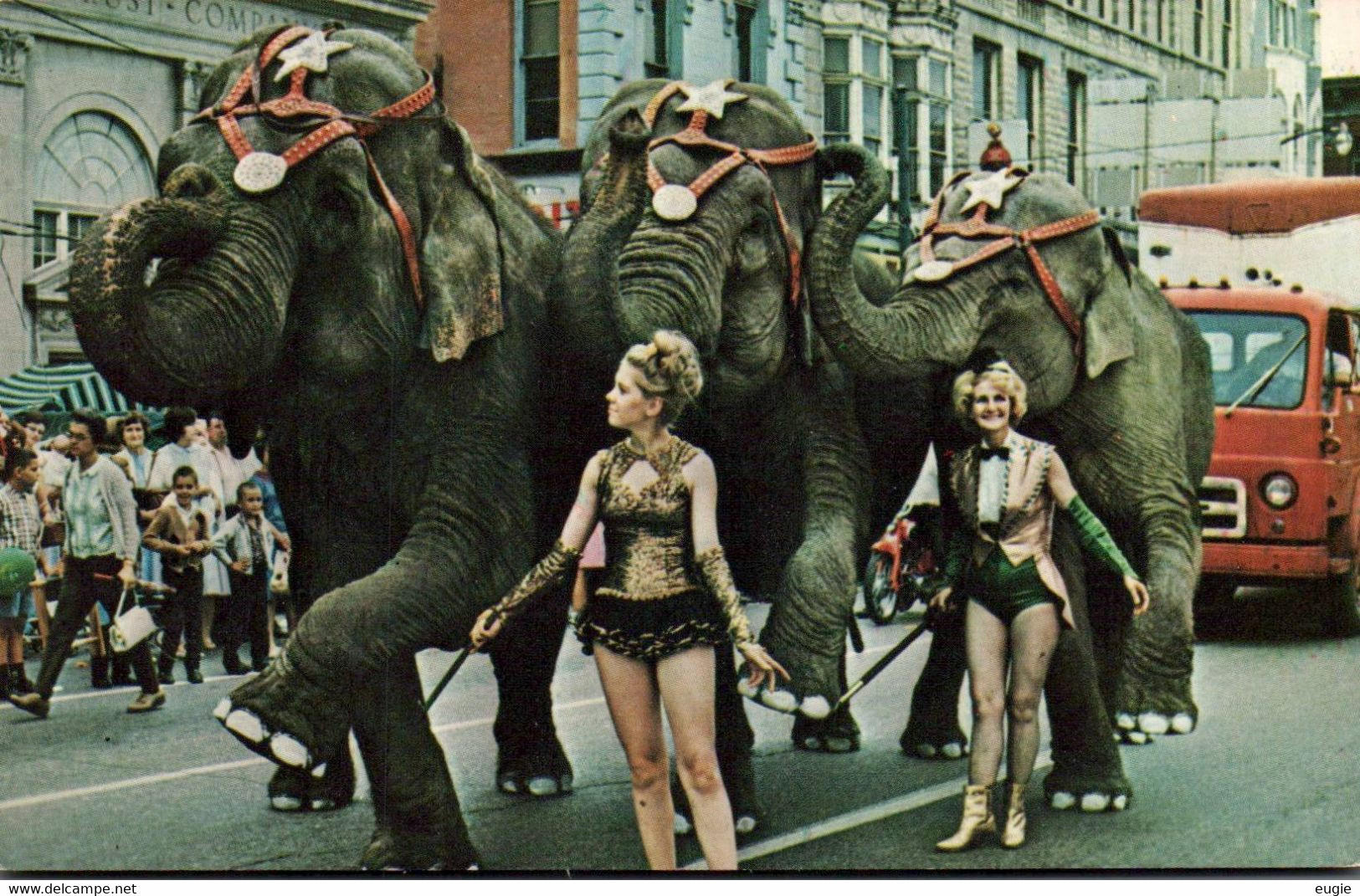 1621/ Peru, Indiana, Elephants On Parade In The Circus City Festival - Pérou