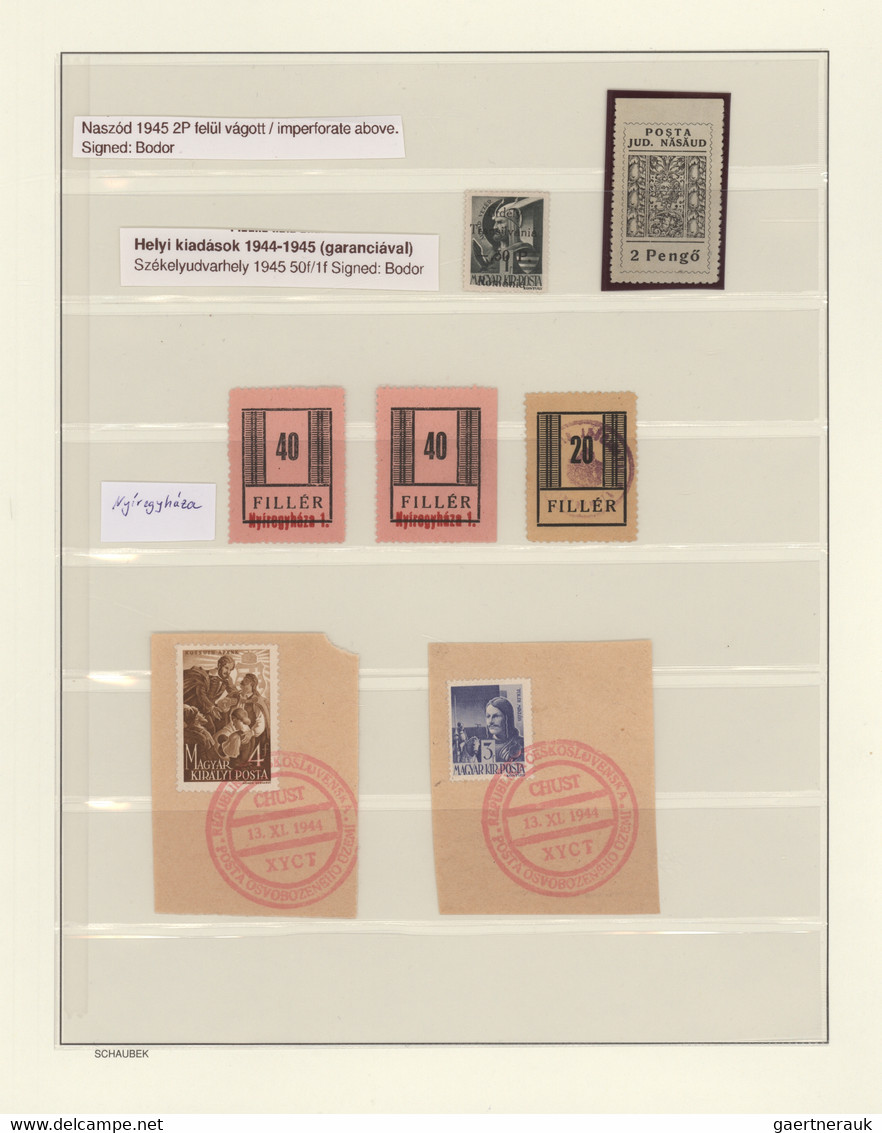 Hungary - Specialities: 1944/1945, LOCALS, Assortment Of Various Issues, Compris - Sonstige