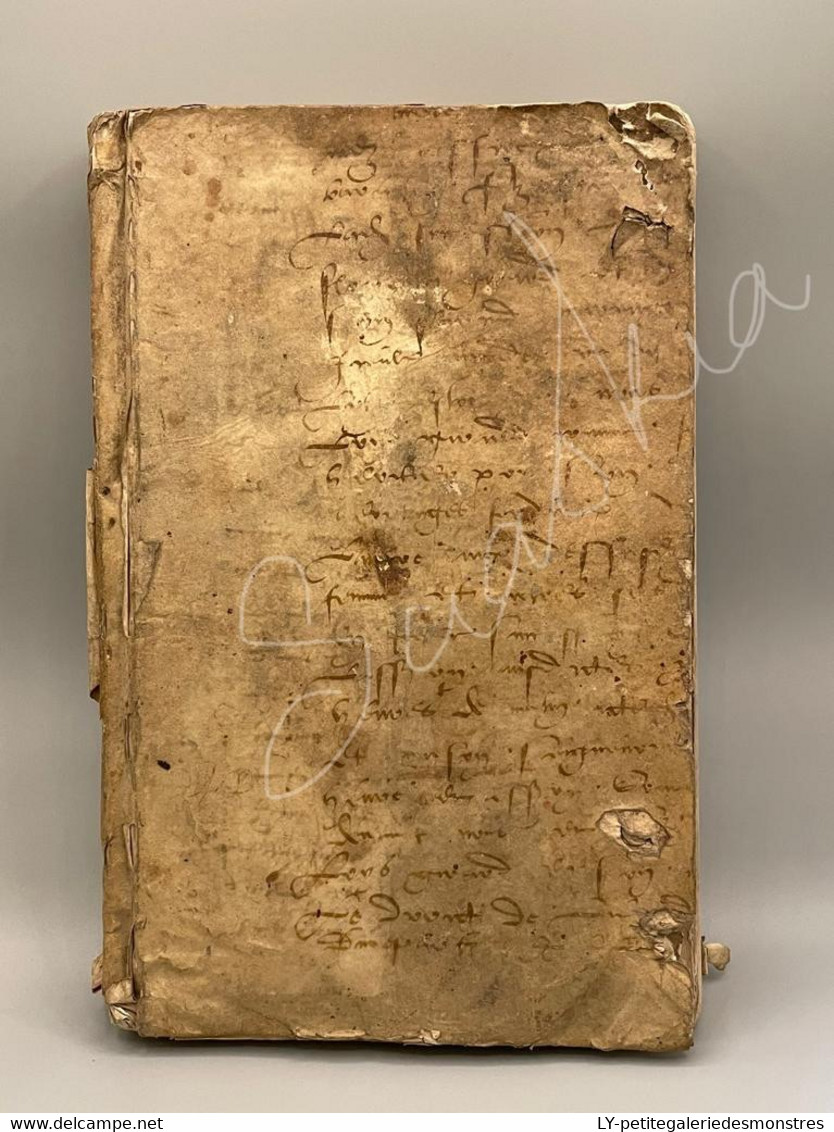 #LV30 - L'histoire De La Nature Des Oiseaux Et De Leurs Descriptions 1555 - Pierre Belon Du Mans Reliure Peau Manuscrite - Before 18th Century