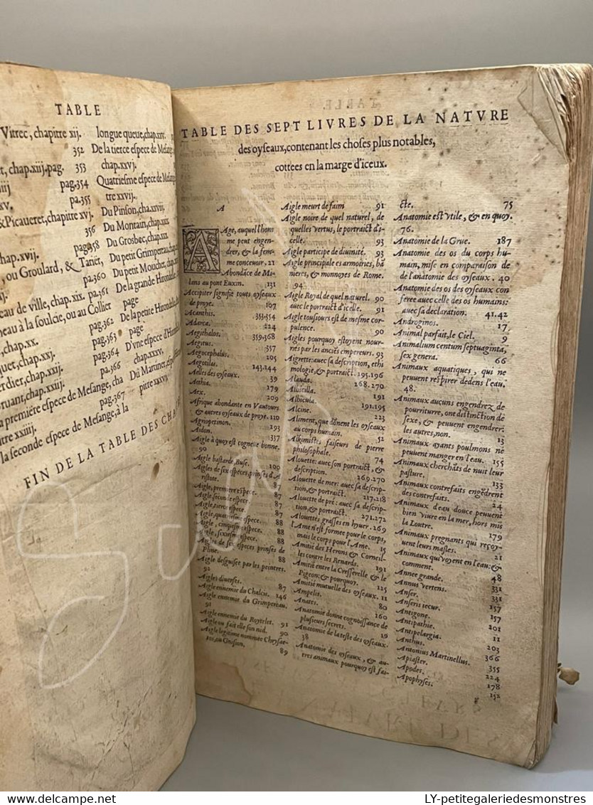 #LV30 - L'histoire de la nature des oiseaux et de leurs descriptions 1555 - Pierre Belon du Mans Reliure peau manuscrite