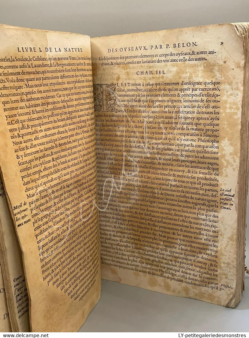 #LV30 - L'histoire de la nature des oiseaux et de leurs descriptions 1555 - Pierre Belon du Mans Reliure peau manuscrite