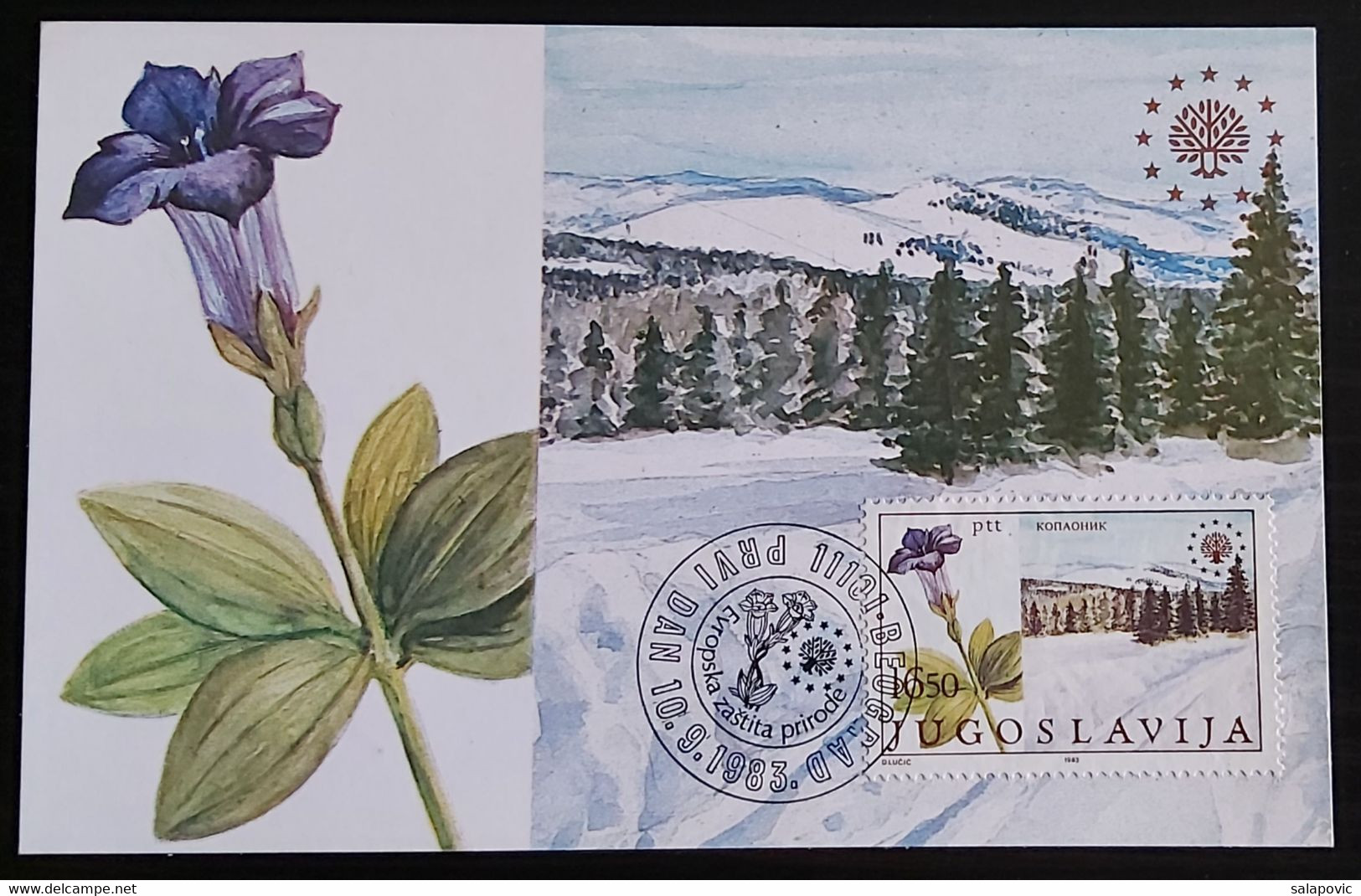 YUGOSLAVIA 1983 , Nacionalni Park Kopaonik National Park Maximum Card FDC 3/89 - Cartes-maximum