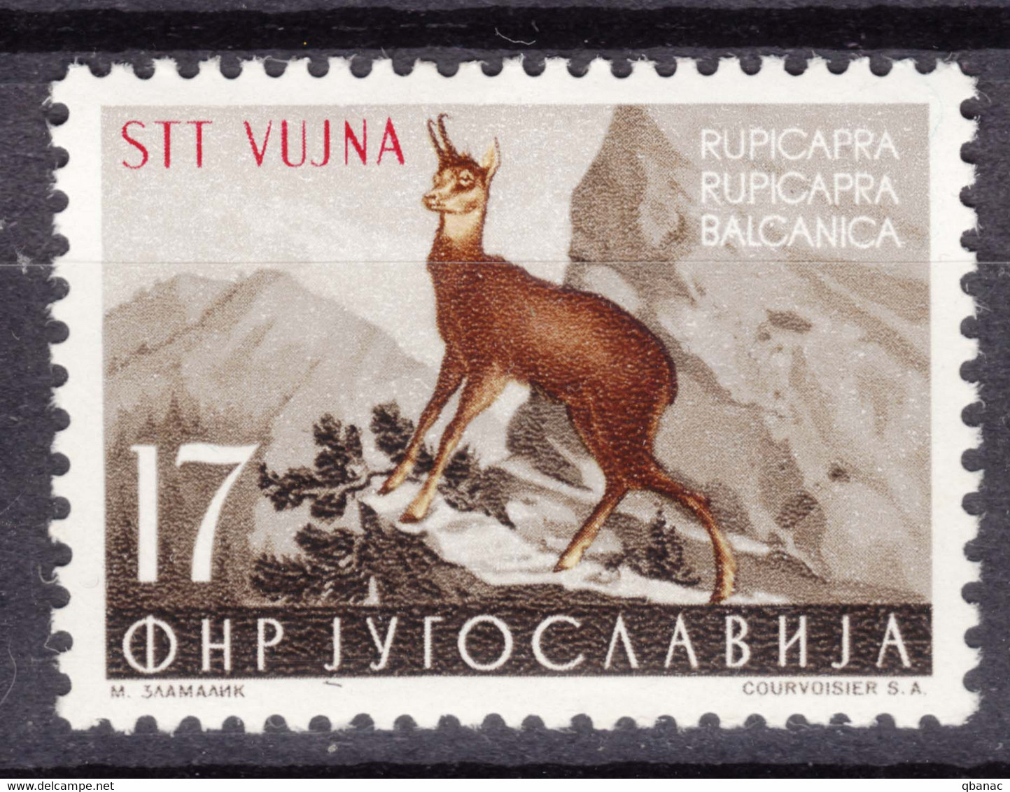 Italy Yugoslavia Trieste Zone B, Animals 1954 Mi#127 Sassone#105 Mint Hinged - Ungebraucht