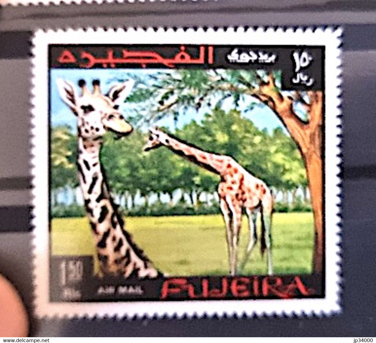 FUJEIRA Girafes, Girafe, Giraffe, Jirafa. Yvert N° 84 ** MNH - Giraffes