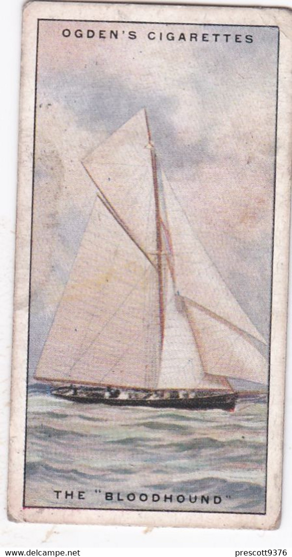 Yachts & Motor Boats 1931 - The Bloodhound - Ogdens  Cigarette Card - Original  - Ships - Sealife - Ogden's