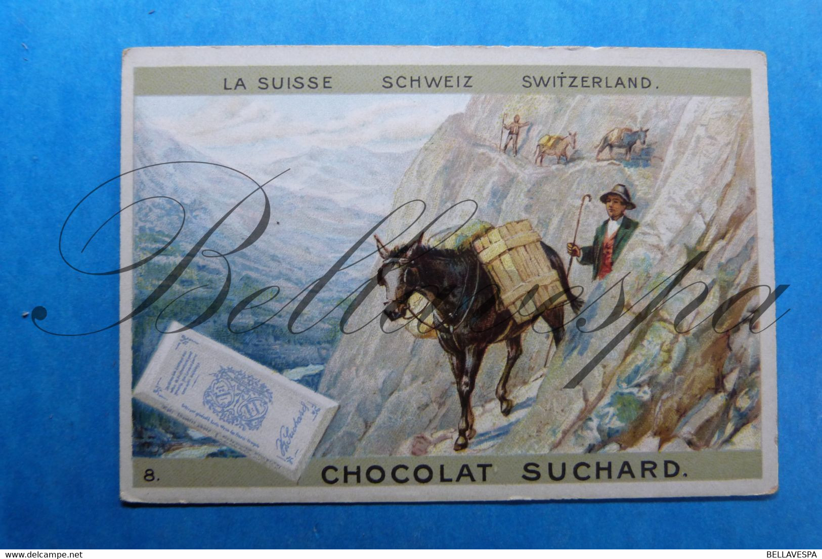 Chocolat SUCHARD  Neuchatel N° Suisse Schweiz.  Chromographie - Suchard