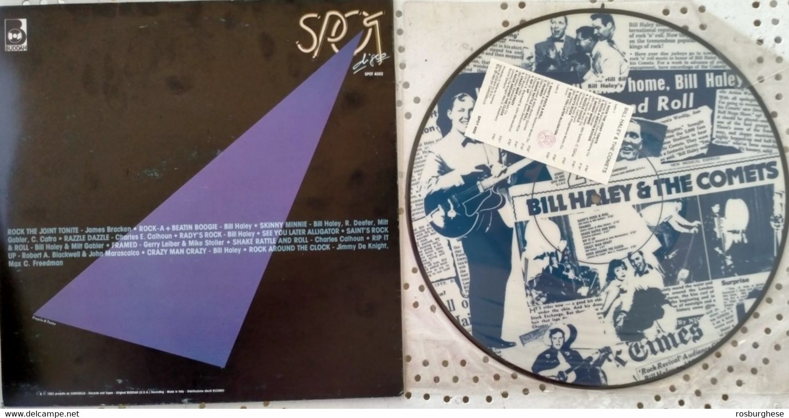 Bill Haley & The Comets Rock The Joint Tonite LP VINILE Picture Disc - Ediciones Limitadas