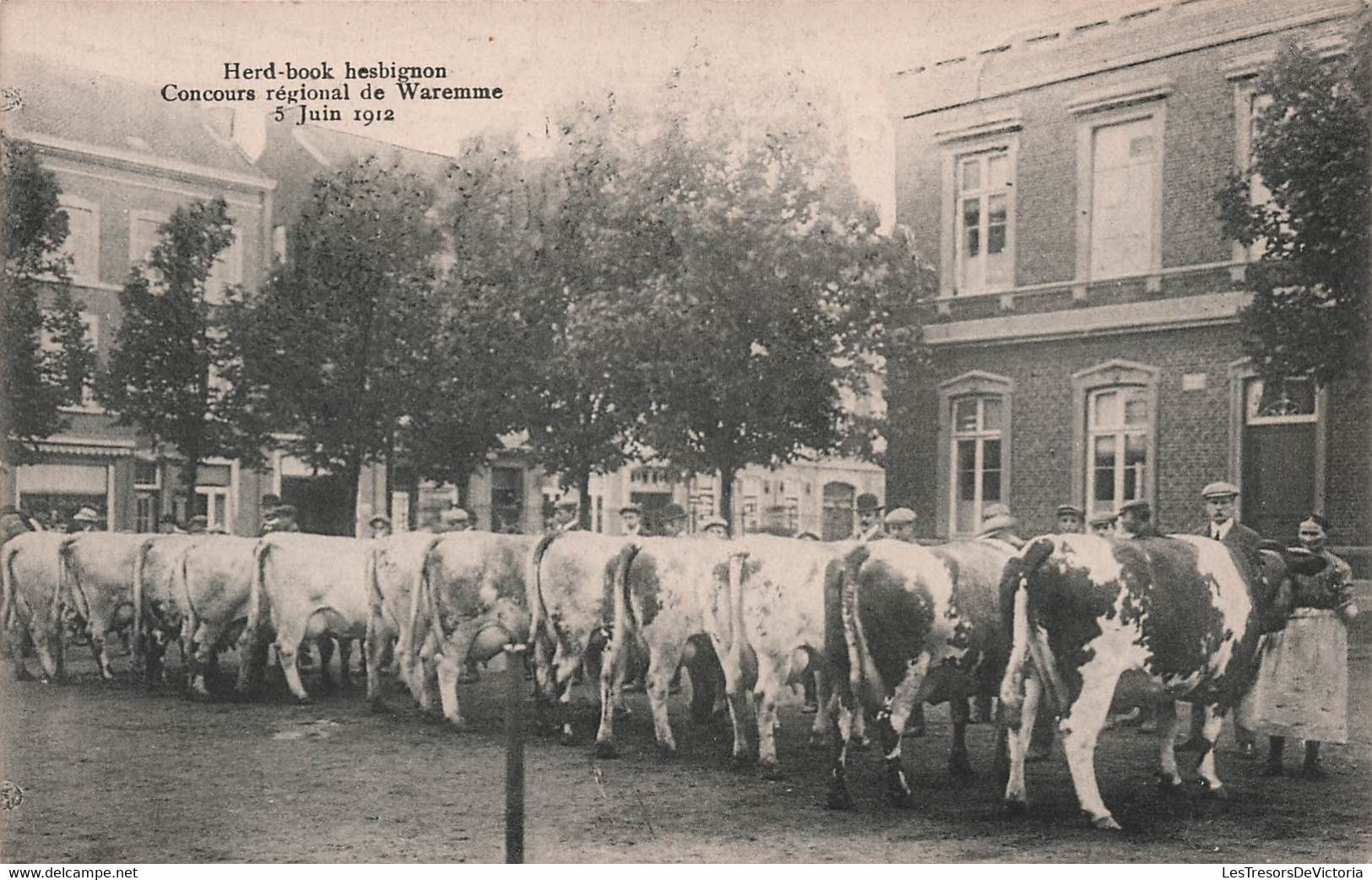 CPA BELGIQUE - WAREMME - Herd-book Hesbignon - Concours Régional De Waremme - 5 Juin 1912 - Vaches - Rare - Borgworm