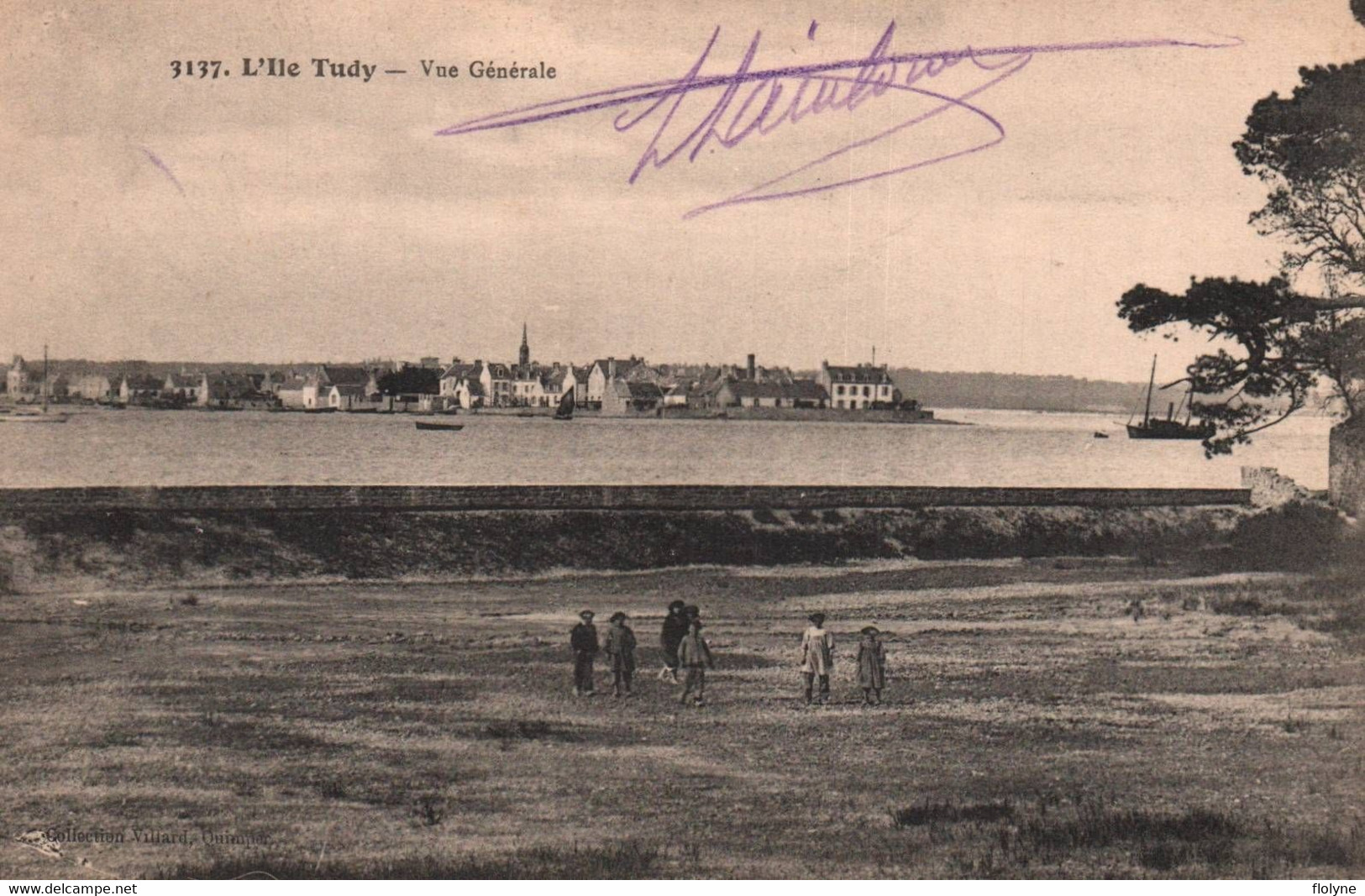 Ile Tudy - Vue Générale Sur L'ile - Ile Tudy