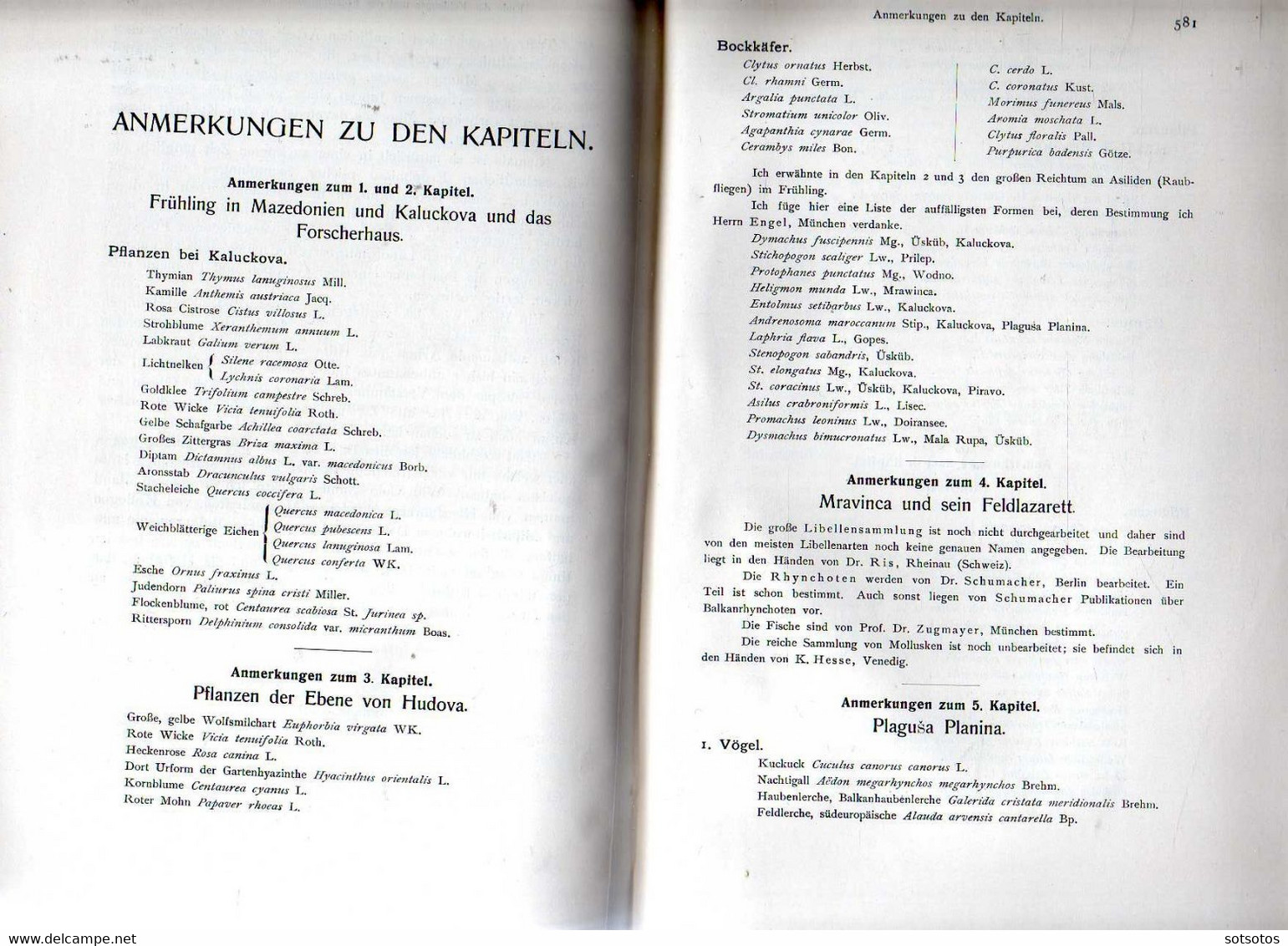 Mazedonien Dr. Franz Doflein 1921 Ed. Verlagvon Gustav Fischer with 592 pages with 295 pictures - Excellent copy like ne