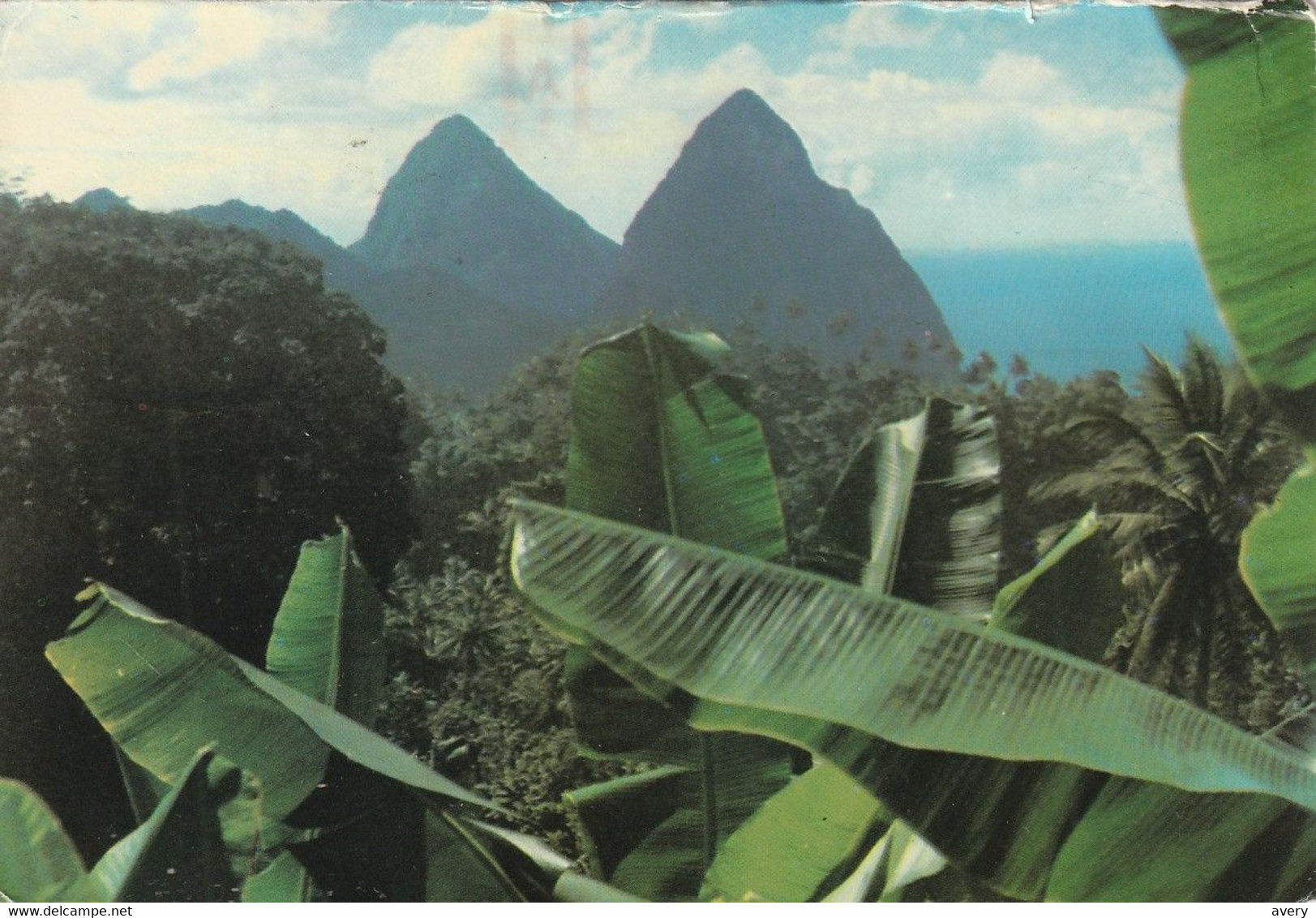 The World-famous Twin Pitons, An Island Landmark Form The Backdrop To A Banana Patch In St. Lucia, Wst Indies - Santa Lucía