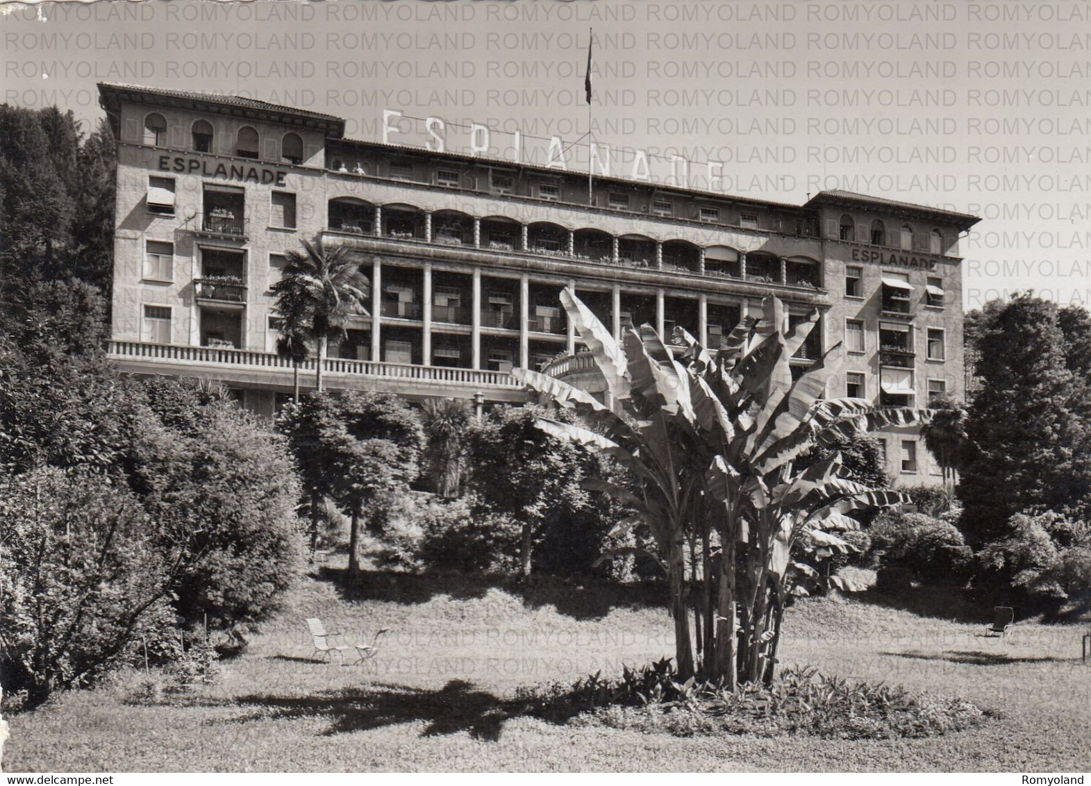 CARTOLINA  MINUSIO-LOCARNO,TICCINO,SVIZZERA,HOTEL ESPLANADA,VIAGGIATA 1957 - Minusio