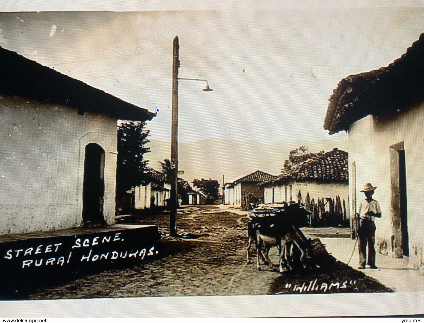 Published By Williams, Street Scene - Honduras