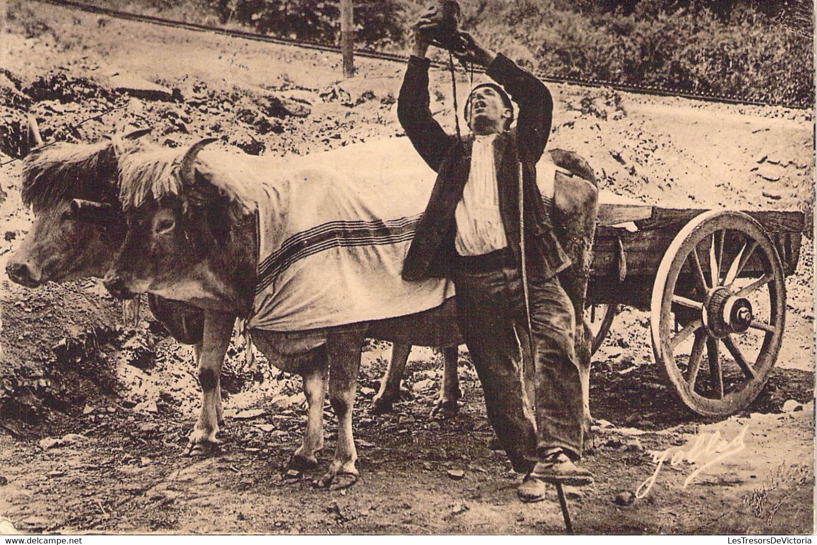 CPA - FRANCE - 64 - PAYS BASQUE - Le Buveur - Attelage - Agriculture - Sonstige & Ohne Zuordnung