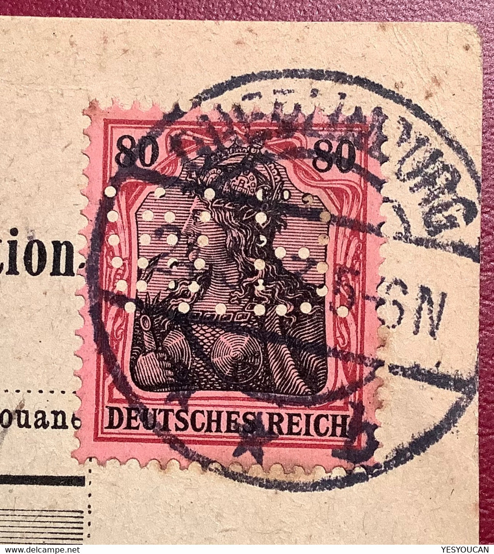 PERFIN W.B Farbenfabrik Wilhelm Brauns Quedlinburg Germania 1913Paketkarte>Droguerie Nyon (chemie Chemical  Peinture - Brieven En Documenten
