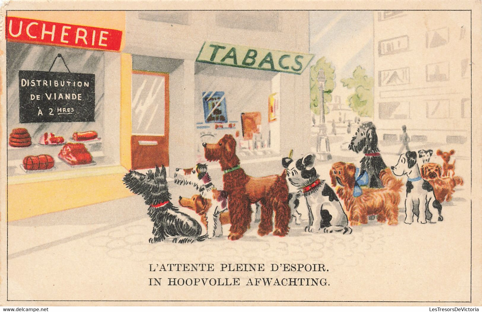 CPA - Fantaisies - L'attente Pleine D'espoir - Chiens Devant Une Vitrine De Boucherie - Coloprint - Coloré - Other & Unclassified