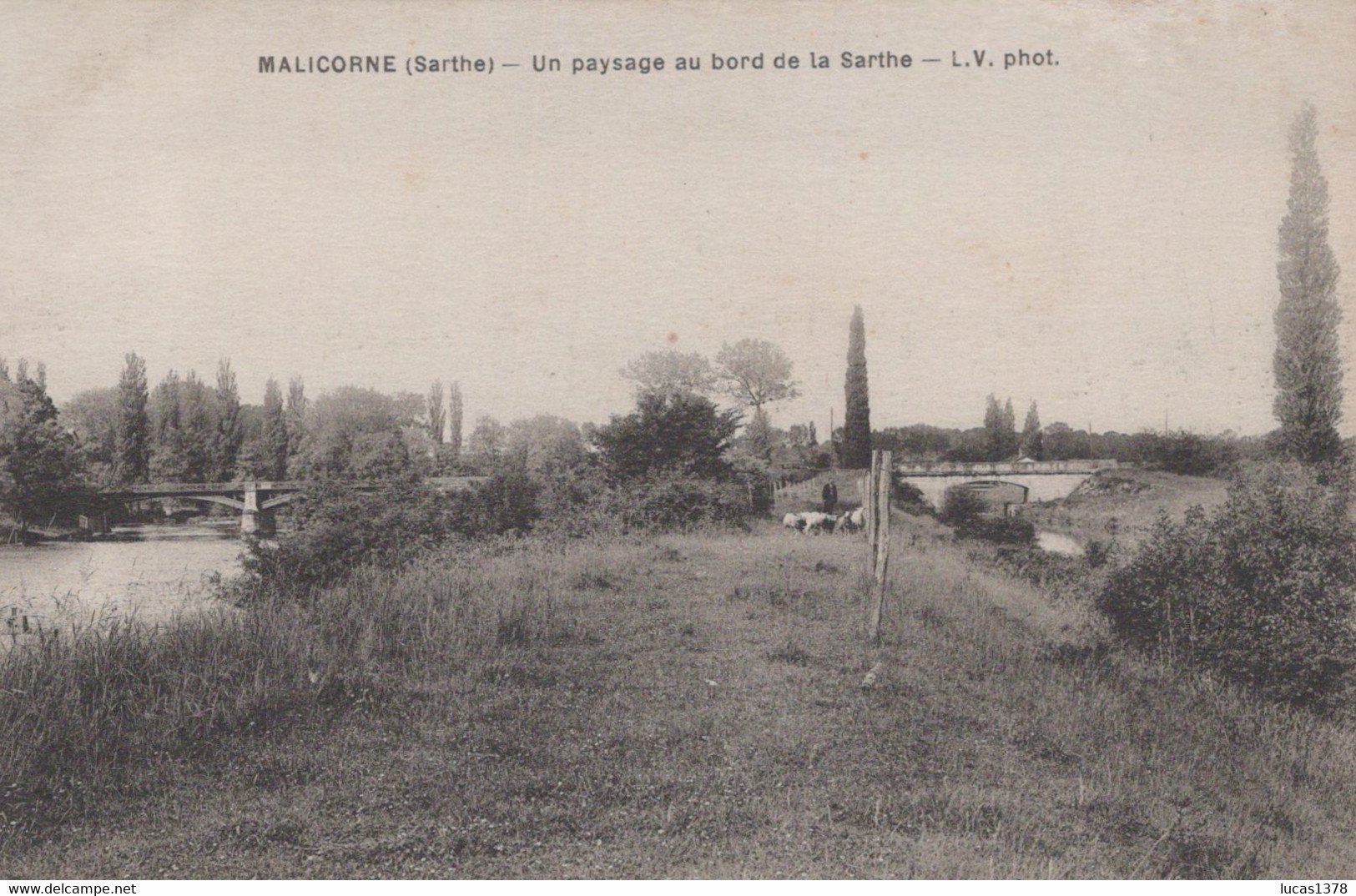 72 / MALICORNE / UN PAYSAGE AU BORD DE LA SARTHE - Malicorne Sur Sarthe