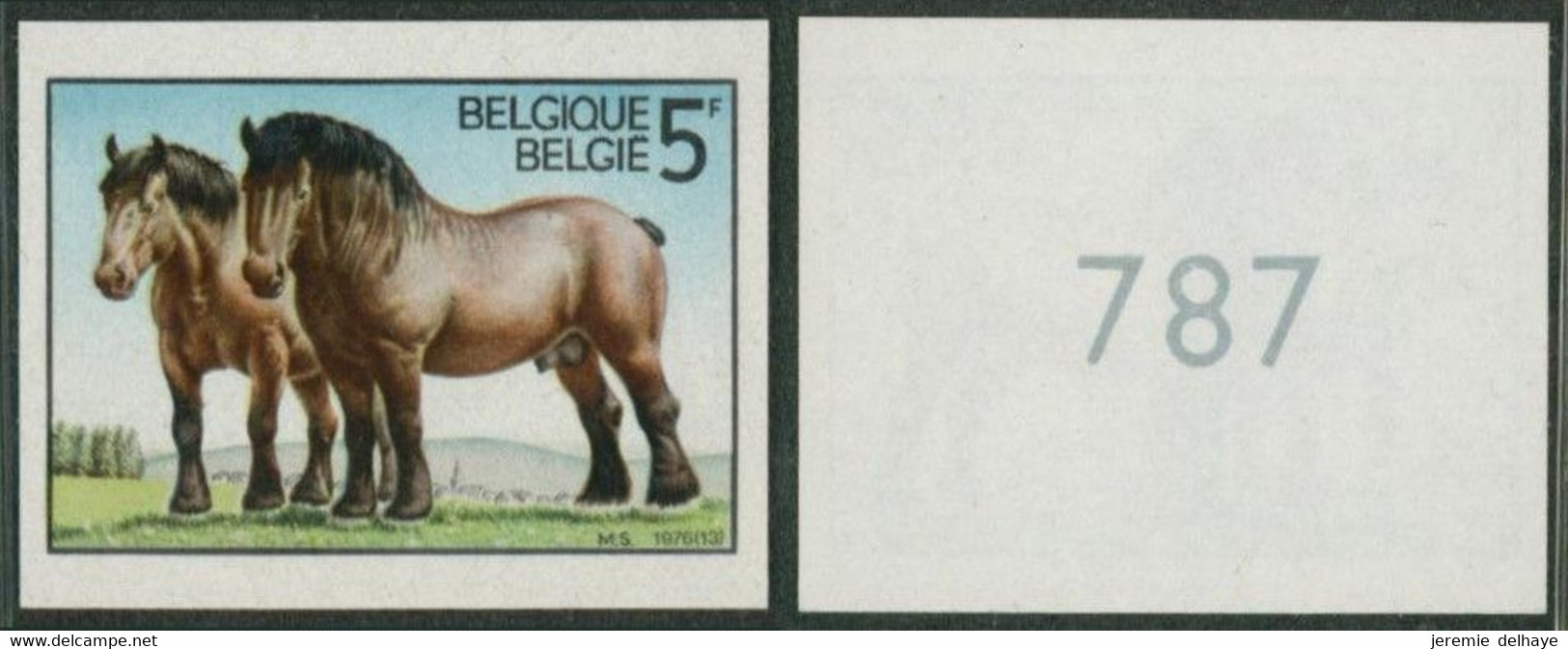 Non Dentelé (1976) - N°1810 Cheval De Trait Ardennais - Altri & Non Classificati
