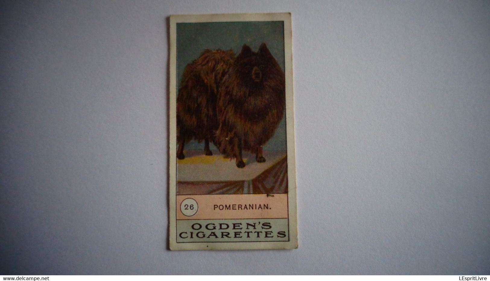 POMERANIAN N° 26 Fowls Pigeons And Dogs Chien Dog Cigarettes OGDEN'S Tobacco Vignette Trading Card Chromo - Ogden's