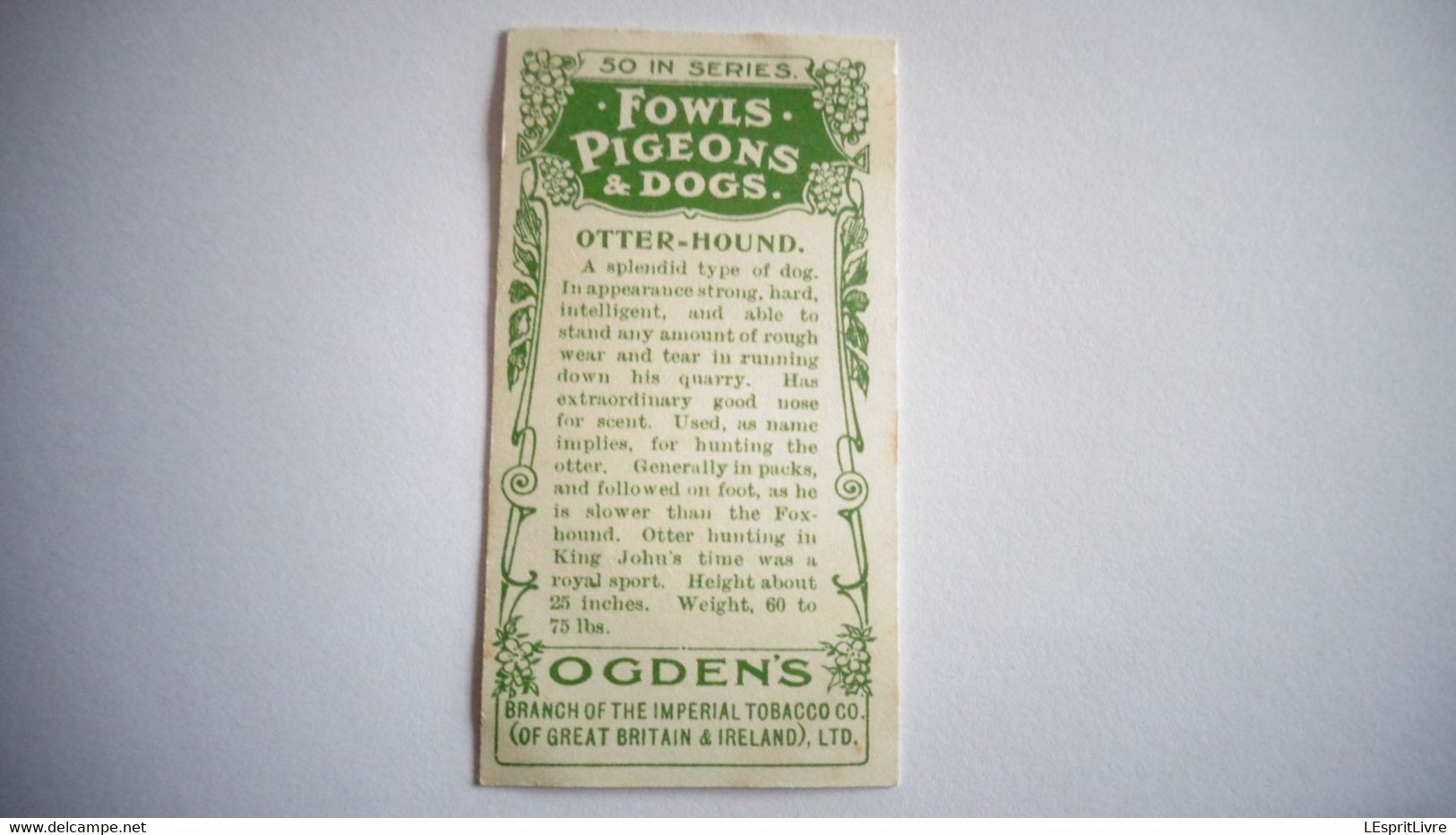 OTTER HOUND N° 29 Fowls Pigeons And Dogs Chien Dog Cigarettes OGDEN'S Tobacco Vignette Trading Card Chromo - Ogden's
