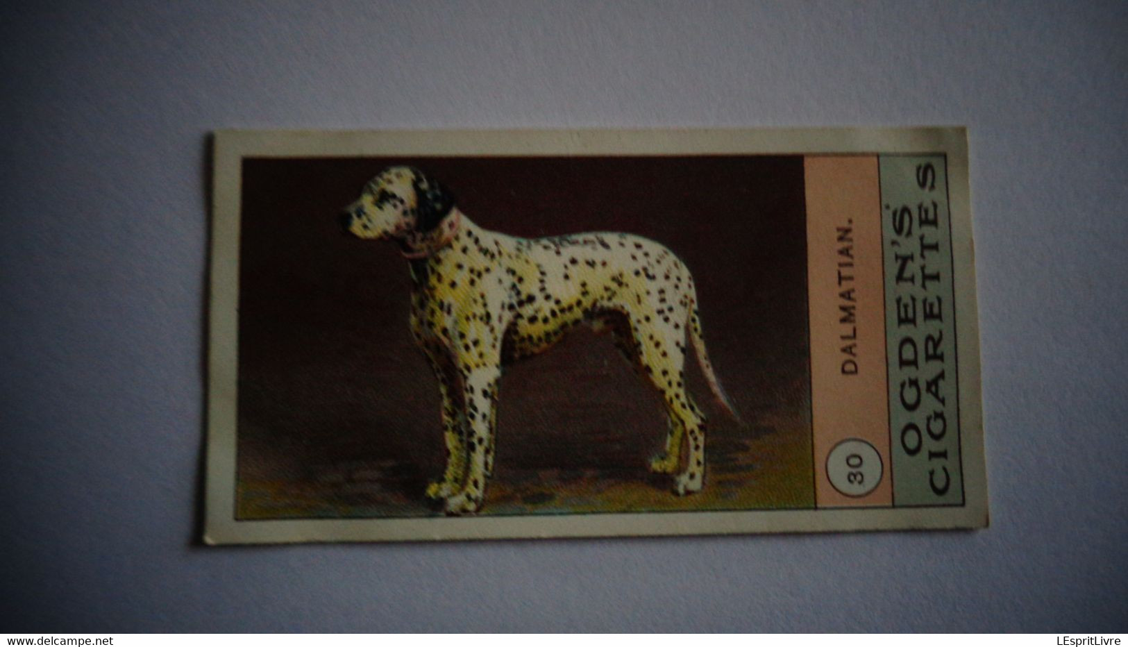 DALMATIAN Dalmatien N° 30 Fowls Pigeons And Dogs Chien Dog Cigarettes OGDEN'S Tobacco Vignette Trading Card Chromo - Ogden's