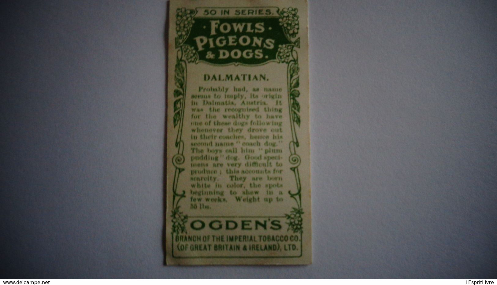 DALMATIAN Dalmatien N° 30 Fowls Pigeons And Dogs Chien Dog Cigarettes OGDEN'S Tobacco Vignette Trading Card Chromo - Ogden's