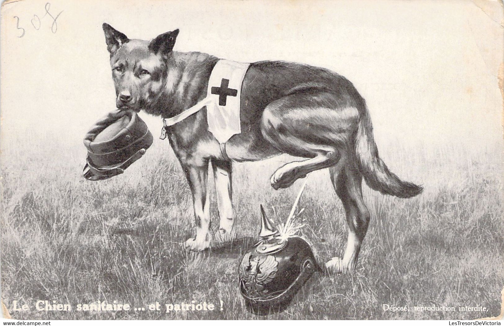 CPA - MILITARIAT - LE CHIEN SANITAIRE ET PATRIOTE - Pisse Sur Un Casque à Pointe - Humor