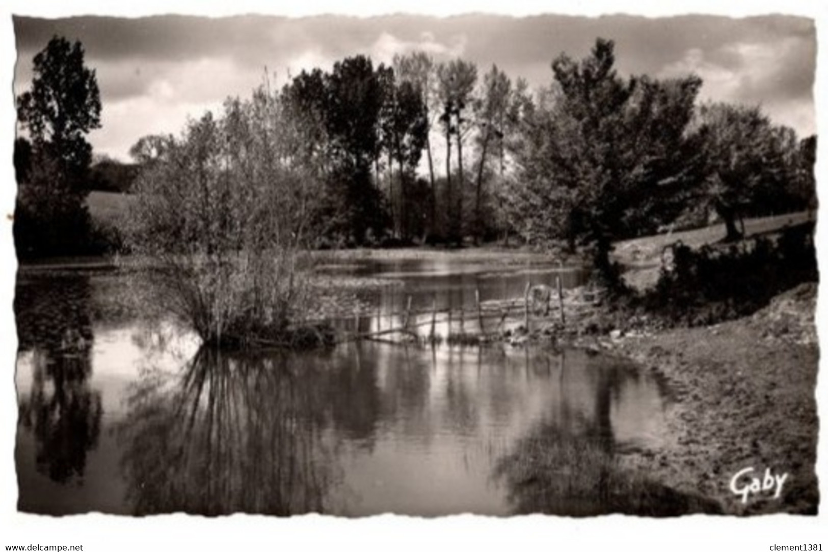 Champdeniers Etang De Neufchaise - Champdeniers Saint Denis