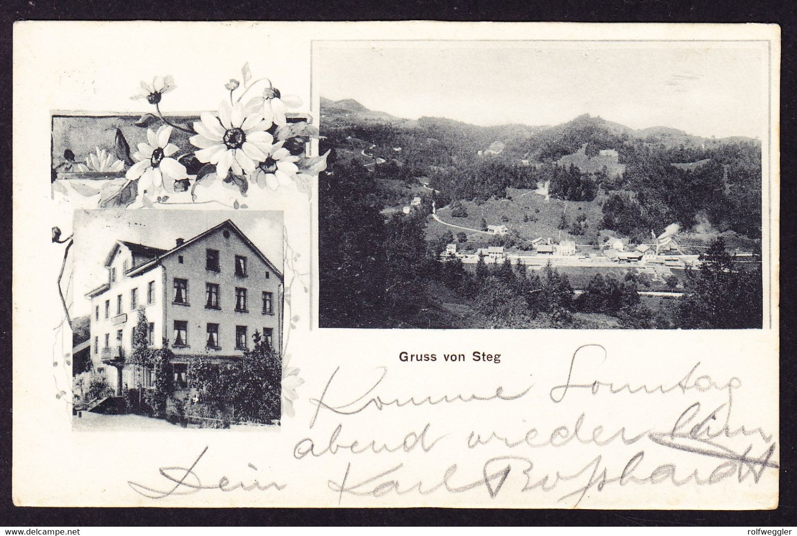 1920 Mit Bahnpost Gelaufene AK: Gruss Von Steg. Stempel WINTERTHUR-RÜTI, Bahnpost - Laufen-Uhwiesen 