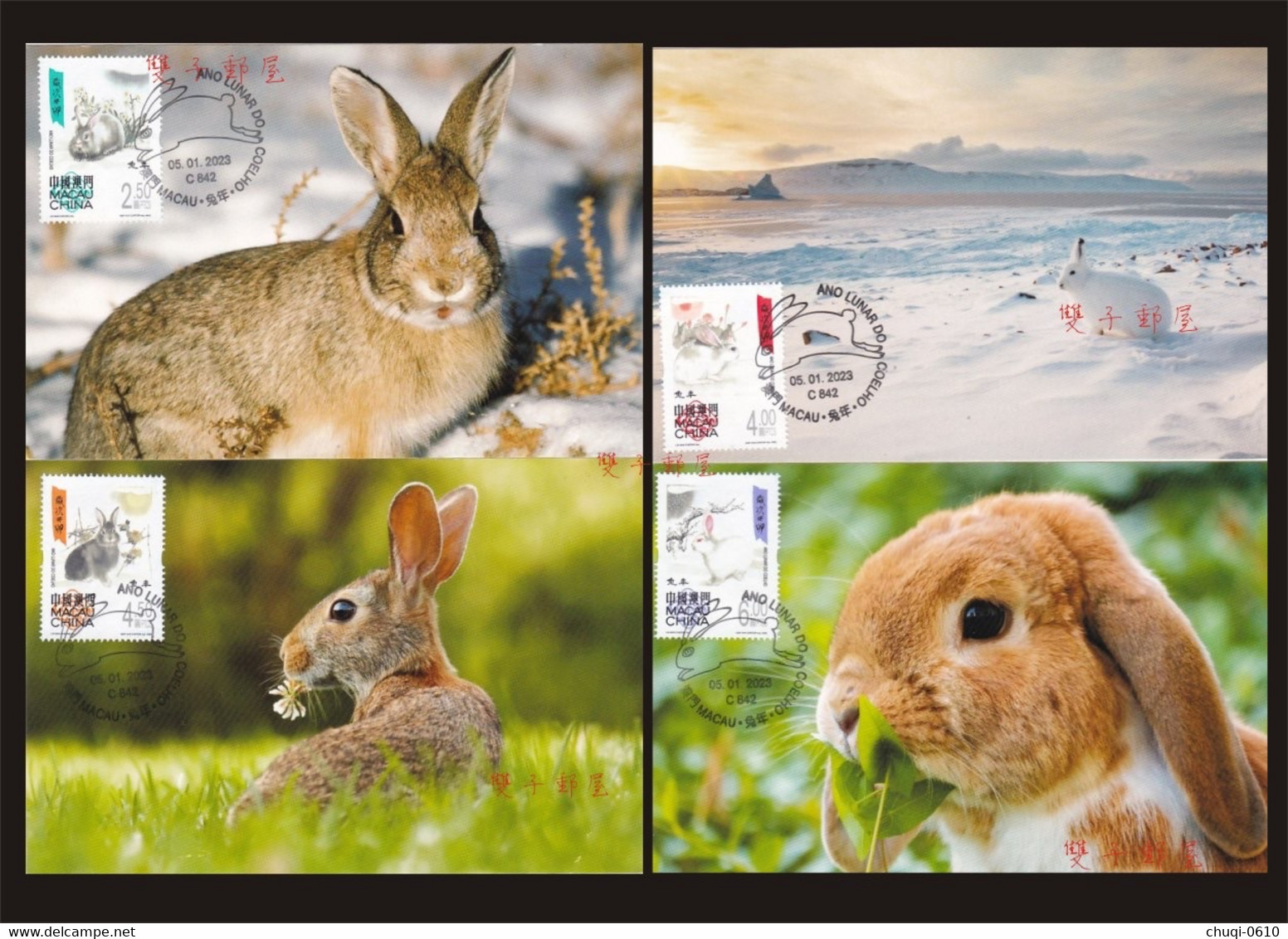 China Macau Maximum Card,2023 Year Of Rabbit，4 Pcs - Cartes-maximum