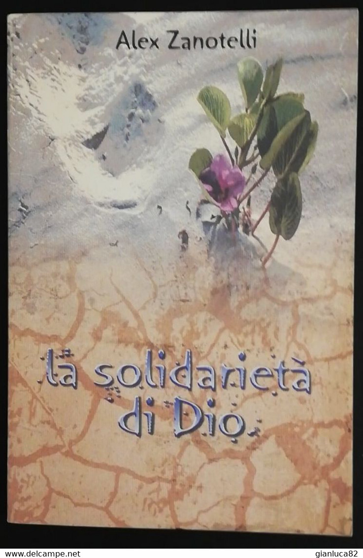 Libro Religioso La Solidarietà Di Dio Alex Zanotelli 2003 Nuovo (Relig23) Come Da Foto Editrice Missionaria Italiana - Religione