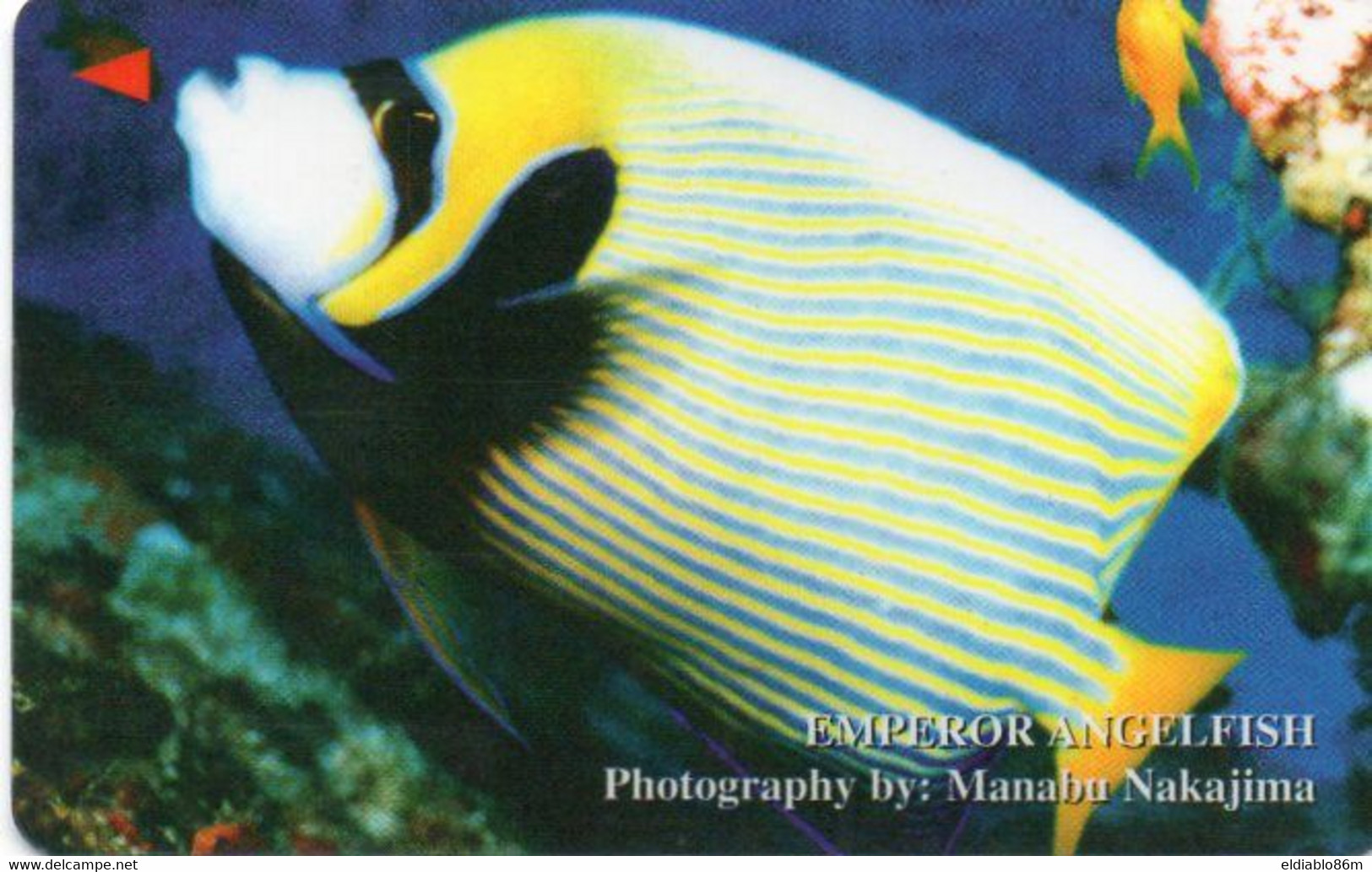 VIETNAM - GPT - 4MVSB - FISH - EMPEROR ANGELFISH - Viêt-Nam