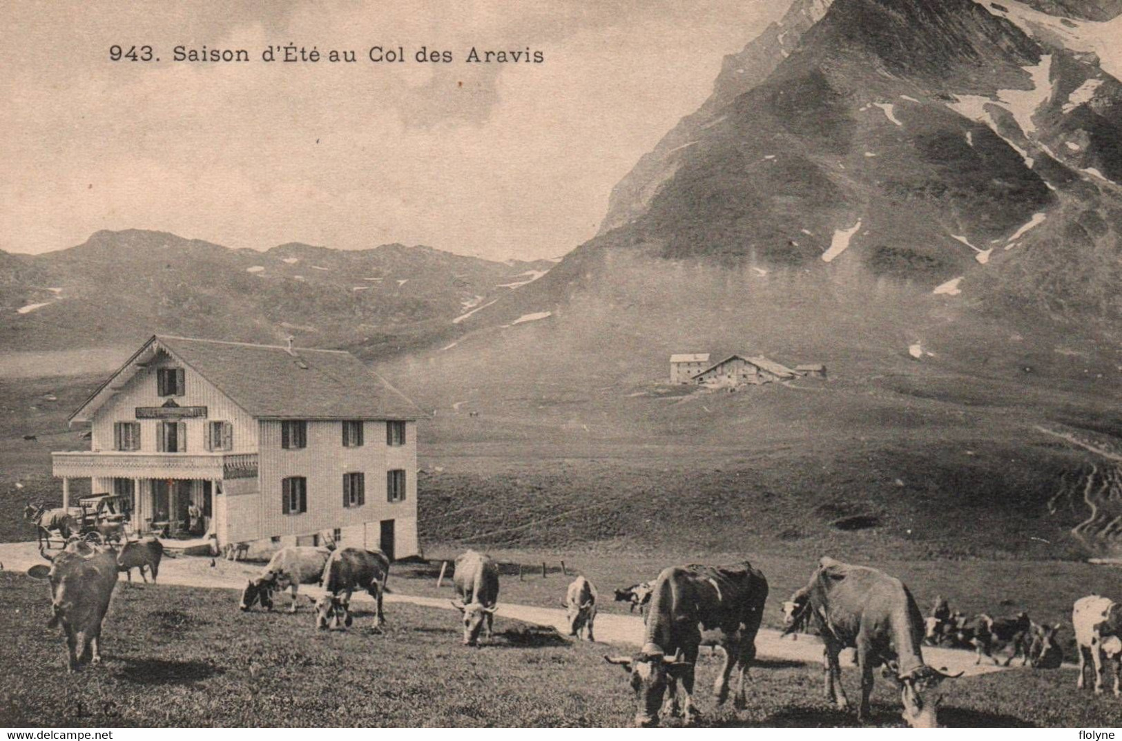 La Clusaz - Saison D'été Au Col Des Aravis - Hôtel - Troupeau - La Clusaz