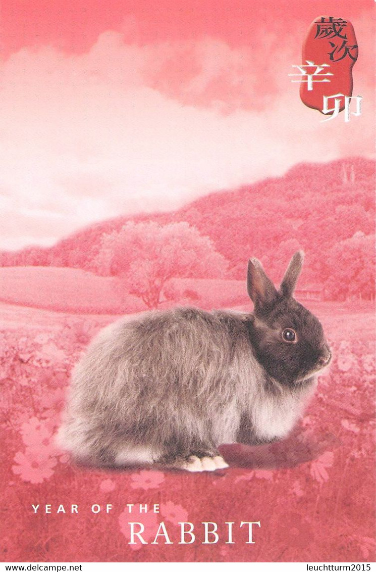 HONGKONG - POSTAL STATIONERY YEAR OF RABBIT 2011? Unc / ZB48 - Postal Stationery